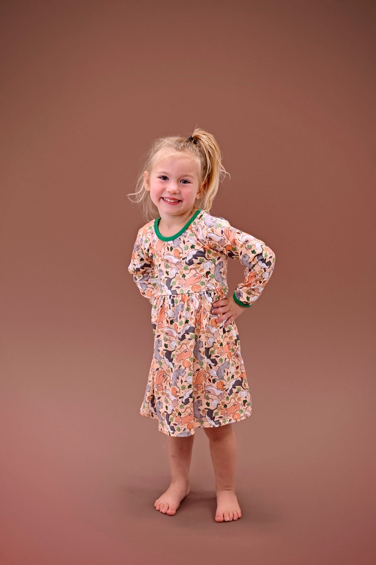 Kitties And Pumpkins Long Sleeve  Milk Silk Dress