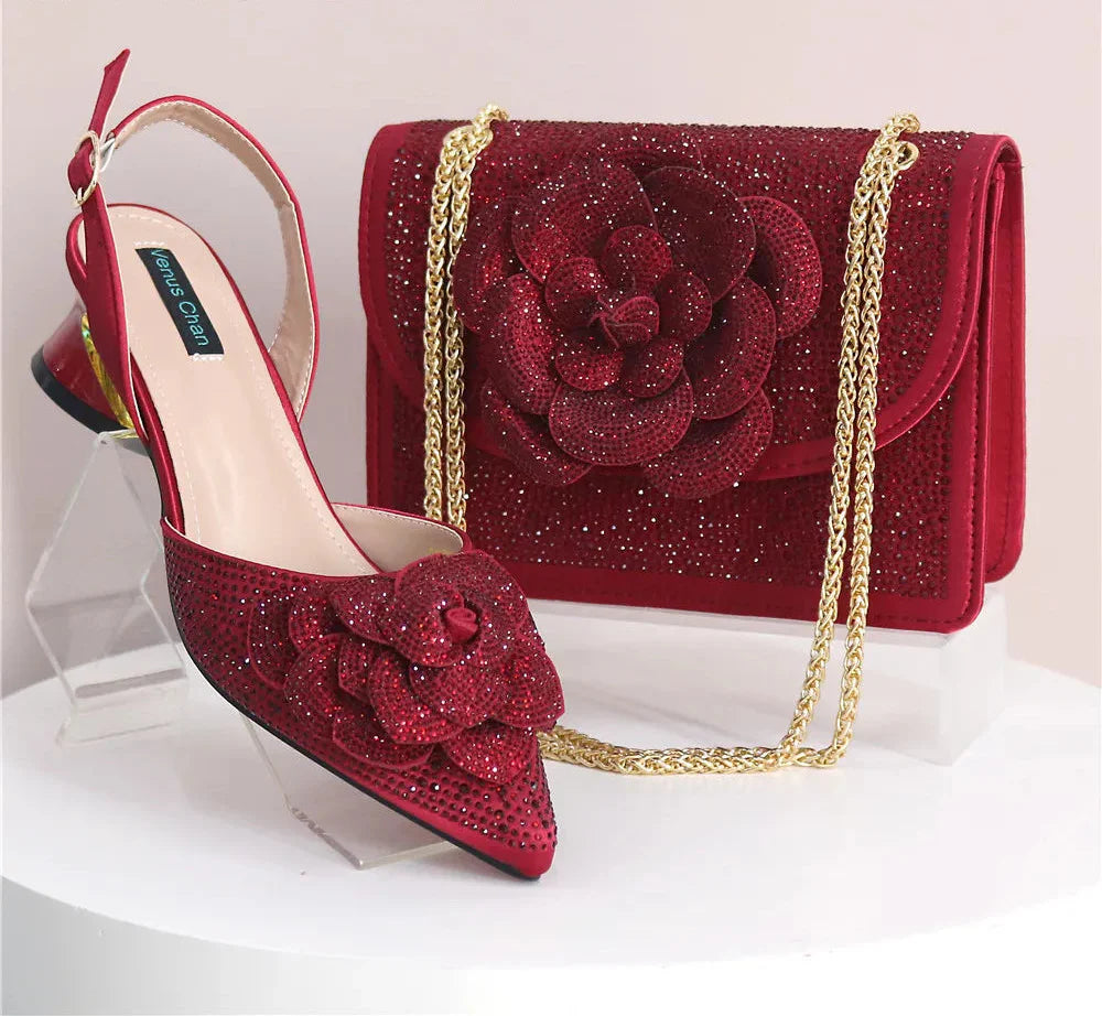 Elegant Lady Shoes And Bag Set EW452