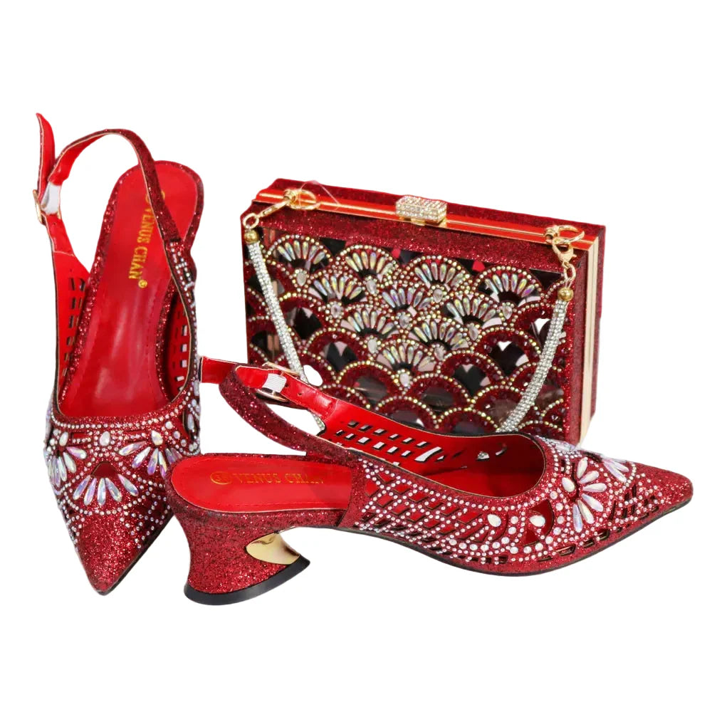 Elegant Ladies Shoes and Bag Set WEQ34